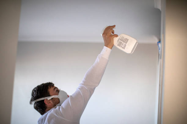 Best Post-Flood Mold Remediation in Allendale, MI