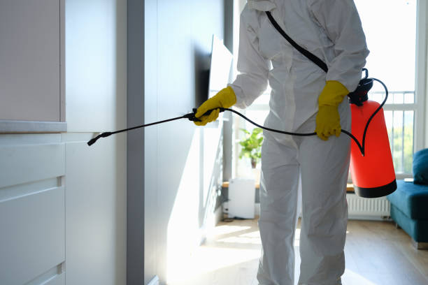 Best Kitchen Mold Remediation in Allendale, MI