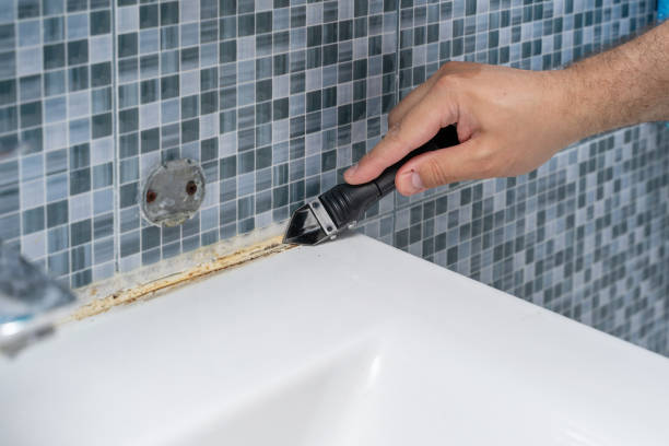 Best Insurance-Related Mold Remediation in Allendale, MI