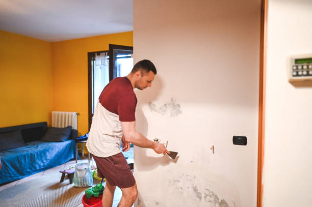 Best Mold Remediation for Specific Building Types in Allendale, MI